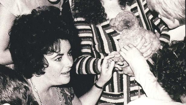 Hollywood-Grande-Damle Liz Taylor umgeben von Fans