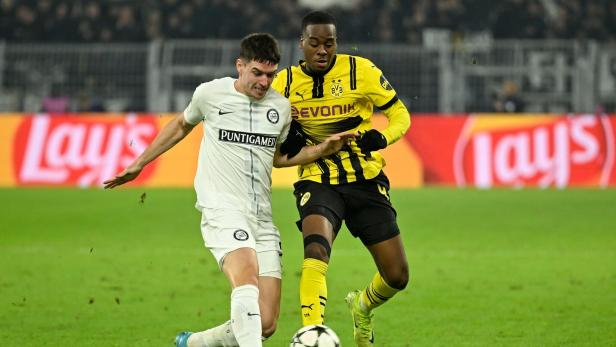 Max Johnston verlässt Meister Sturm