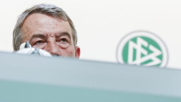 Verzagter Blick nach vorne: Wolfgang Niersbach, noch Chef des DFB.