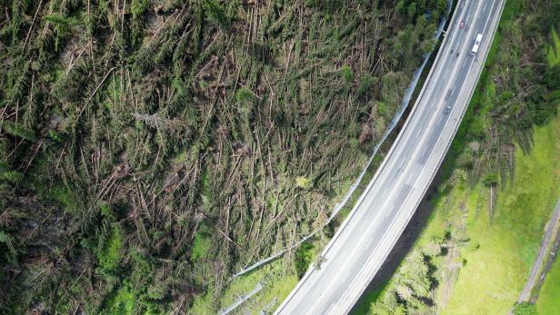 Windwurf an Brennerautobahn / Schwere Unwetterschäden