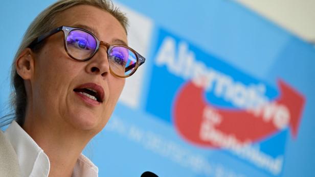 GERMANY-POLITICS-PARTIES-AFD GERMANY-POLITICS-PARTIES-AFD