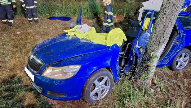 46-218278960 Unfallfahrzeug und Einsatzkräfte bei der Bergung