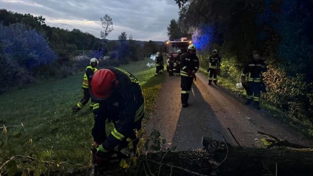 46-218286489 Feuerwehr im Einsatz