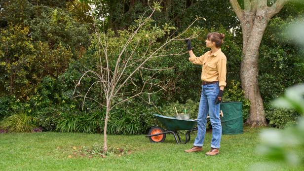 Eine Frau macht Gartenarbeit, um ihren Garten auf den Winter vorzubereiten.