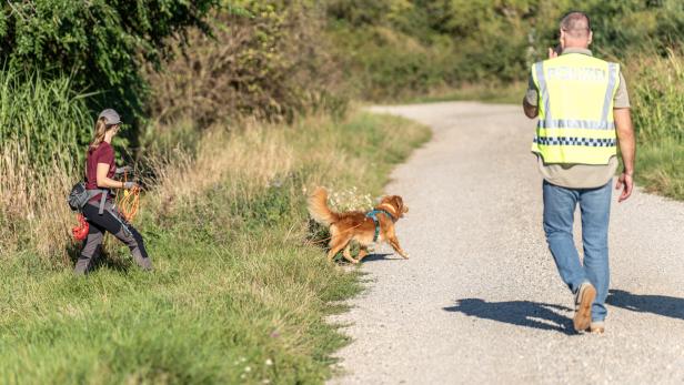++ HANDOUT ++ WILDTIERKRIMINALITÄT IM BURGENLAND - GREIFVOGEL AUS FALLE BEFREIT Einsatz gegen Wildtierkriminalität