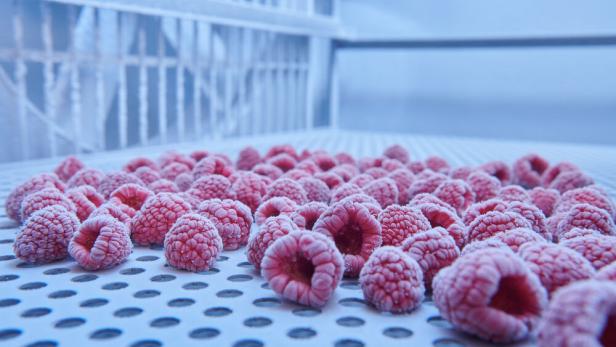 Gefrorene Himbeeren: So kühlt man sie richtig, dass sie länger haltbar sind.