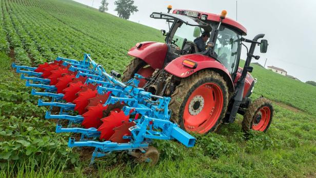 FRANCE-AGRICULTURE-SOYA-NUTRITION-HEALTH FRANCE-AGRICULTURE-SOYA-NUTRITION-HEALTH