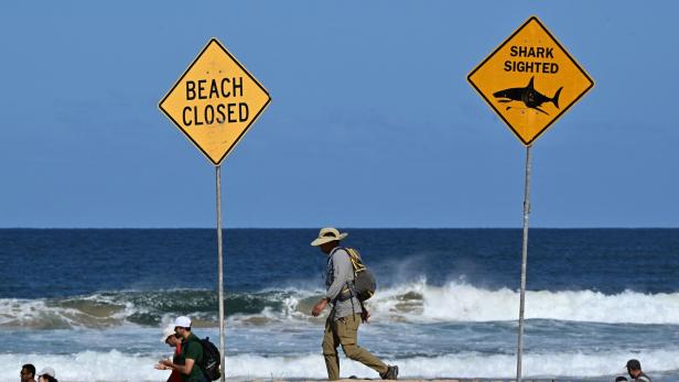 Long Reef Beach in Australien