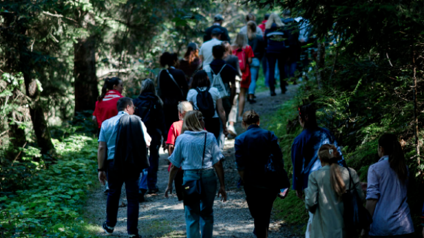 Schritt für Schritt: Während der Wanderung machte Coca-Cola die lokale Wertschöpfung sichtbar. Wanderer im Wald, eingeladen von Coca Cola/ Alpbach