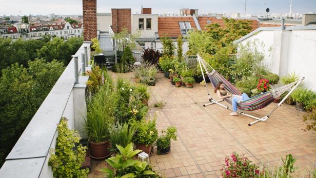Große begrünte Dachterrasse mit Hängematte 