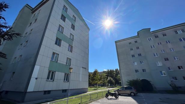 2.200 Gemeindewohnungen in Wiener Neustadt verursachen jährlich vier Millionen Euro Verlust