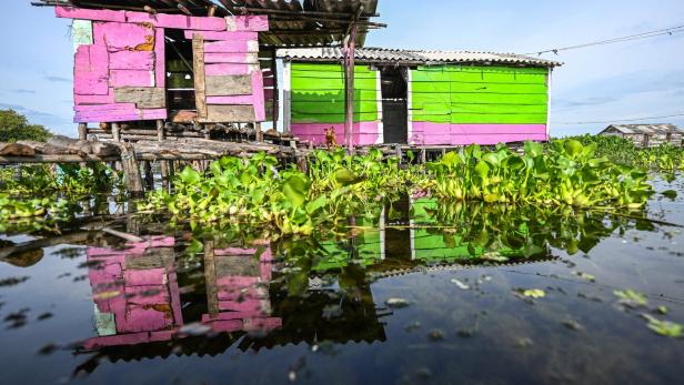 COLOMBIA-ENVIRONMENT-SWAMP