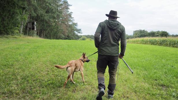 Ein Mann mit Hund auf einer Lichtung