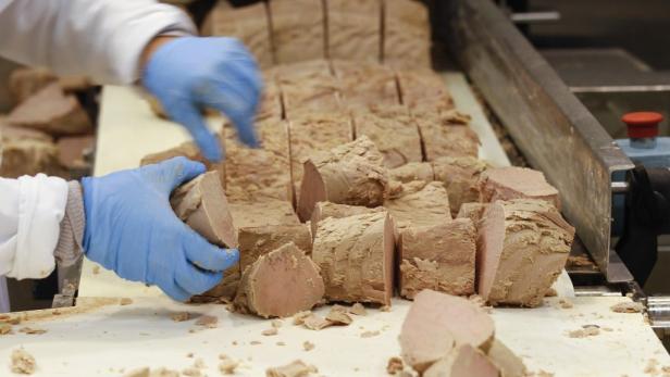 Schlechtes Zeugnis für Dosen-Thunfisch