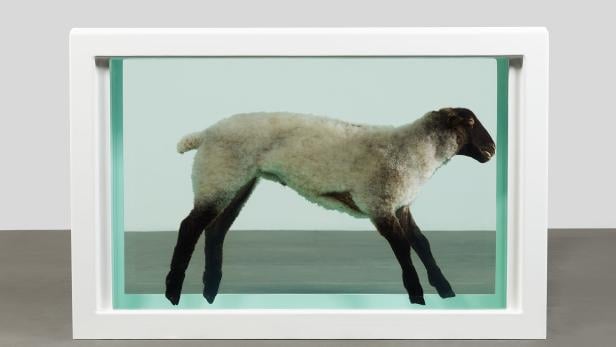 Damien Hirst "Away from the Flock",Rahmen aus Glas, lackierter Stahl, Silikon, Acryl, Kunststoffkabelbinder, Lamm und Formaldehydlösung