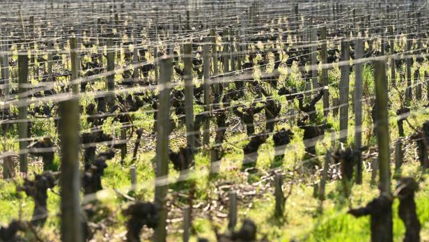US President Trump threatens to impose a 200 percent tariff on French wine US President Trump threatens to impose a 200 percent tariff on French wine