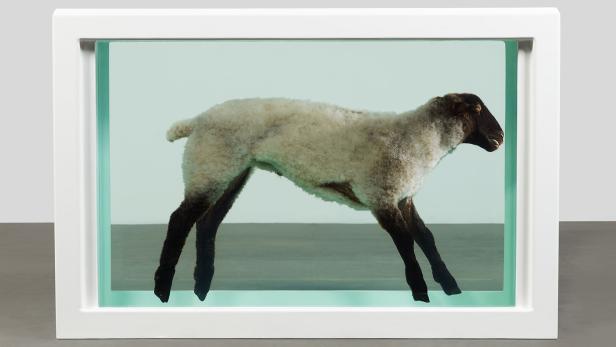 Away from the Flock, 1994