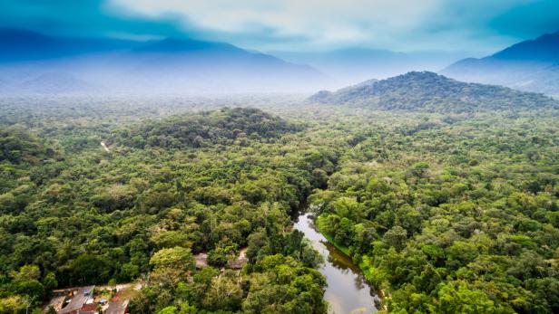 Amazonas-Regenwald von oben