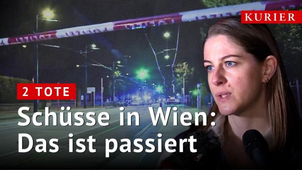 Schüsse in Wien: Das ist passiert