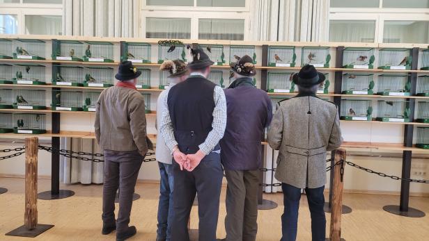 Fünf Männer in traditionell anmutender Kleidung und mit Jagdhüten stehen mit dem Rücken zur Kamera vor einer Wand voller Vogelkäfige.