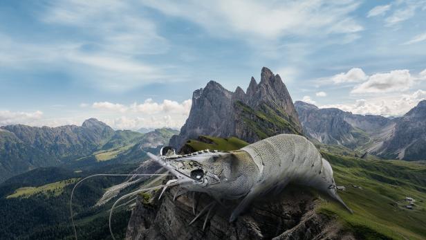 Eine Garnele thront auf einem Felsen vor einer Bergkulisse.