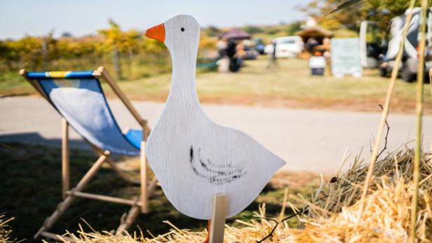Gans aus Spanplatten, im Hintergrund ein Liegestuhl