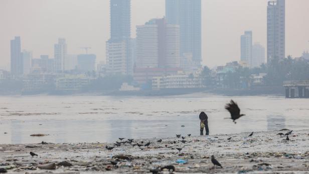 Dadar Beach cleanup drive in Mumbai ahead of World Cleanup Day