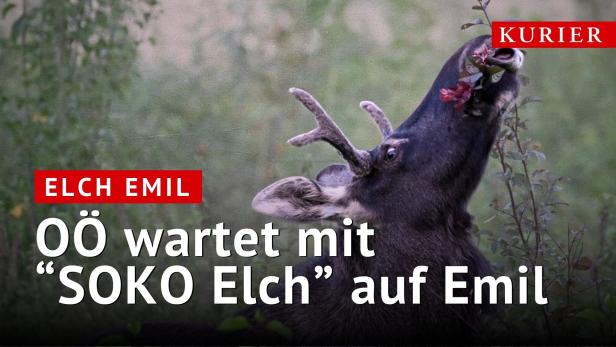 Emil