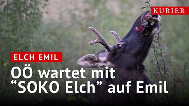 "SOKO Elch": Oberösterreich wartet auf Emil