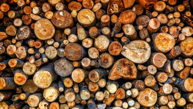 Geschlagenes Holz, geschlichtet.