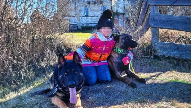 46-218717832 Zwei Hunde mit einem Kind