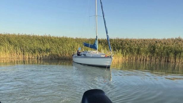 46-218773513 Boot im Neusiedler See