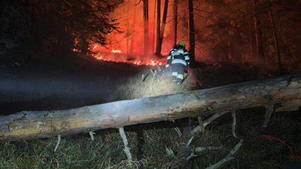 Waldbrand in der Nacht