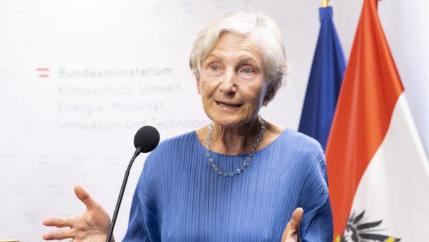 Eine Frau steht vor EU- und Österreichfahnen