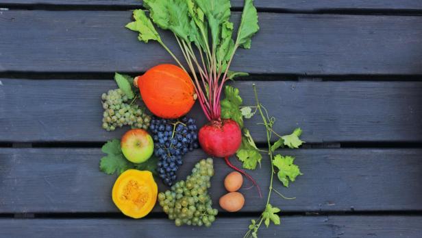 Herbstliche Ernte mit Kürbissen, Rüben, Äpfeln und Trauben auf dunklem Holz.