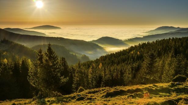 46-218718833 Die Sonne scheint über eine Hügellandschaft, die von Nebel bedeckt ist.