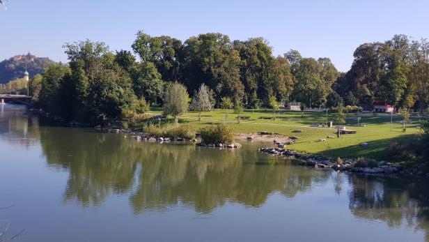 Ein Fluss im Vordergrund, dahinter grüne Wiese