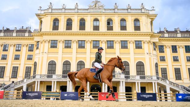 Majestätisches vor dem Schloss Schönbrunn