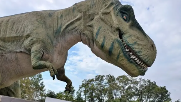 Lebensgroße T-Rex-Figur