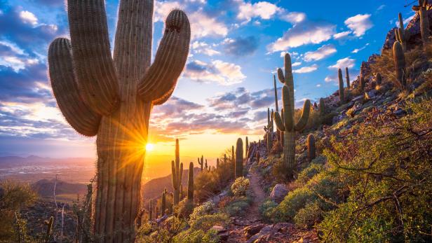 Tom's Thumb trail leads through beautiful Sonoran Desert mountain landscape towards an awesome sunset in The McDowell Sonoran Preserve