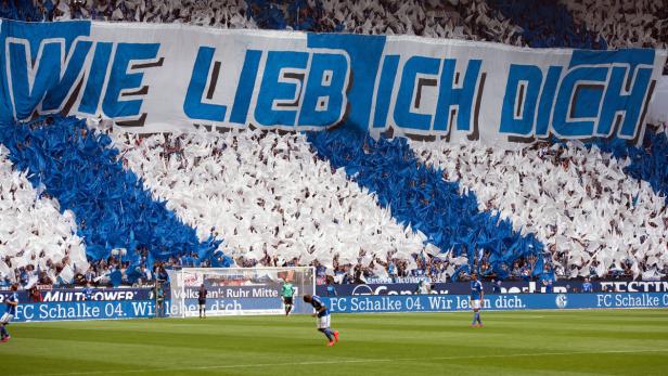 Die Fans halten zu Schalke 04.