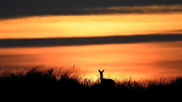 Nordseeinsel Juist