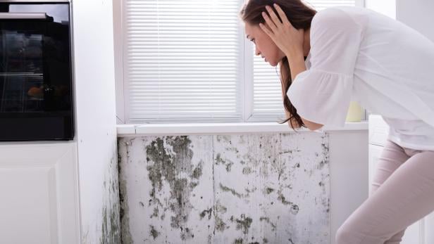 Frau schaut auf schimmlige Wand