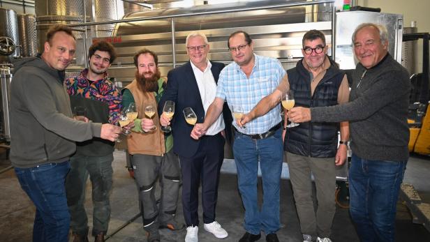 Sieben Männer stoßen mit Gläsern in einer Weinkellerei an und lächeln in die Kamera.
