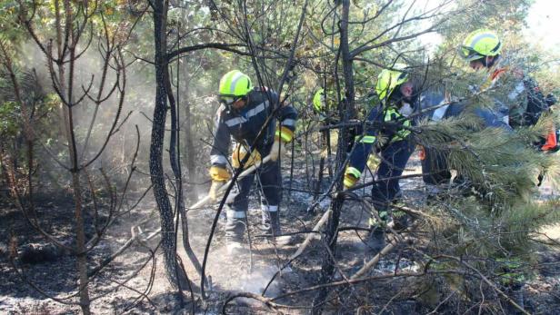 waldbrand Bezirk Amstetten 