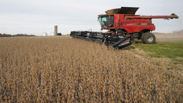 FILE PHOTO: China pivot from US farm imports bolsters it against trade war risks
