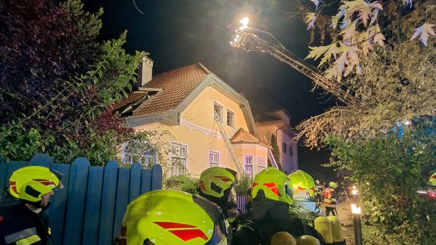 46-219304164 brand in Absdorf