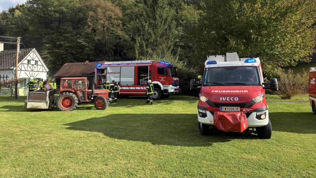 Feuerwehreinsatz in Tauka Mehrere Feuerwehrleute stehen neben Einsatzfahrzeugen und einem Traktor auf einer Wiese vor einem Wald.