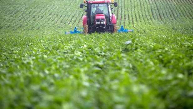 FRANCE-AGRICULTURE-SOYA-NUTRITION-HEALTH