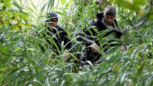 Suche nacBei der Suche nach Fabian wurden auch der Uferbereich am Inselsee durchsucht.h vermisstem Achtjährigen wird fortgesetzt